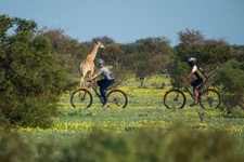 Botswana-Mashatu-Tuli Mountain Biking Safari